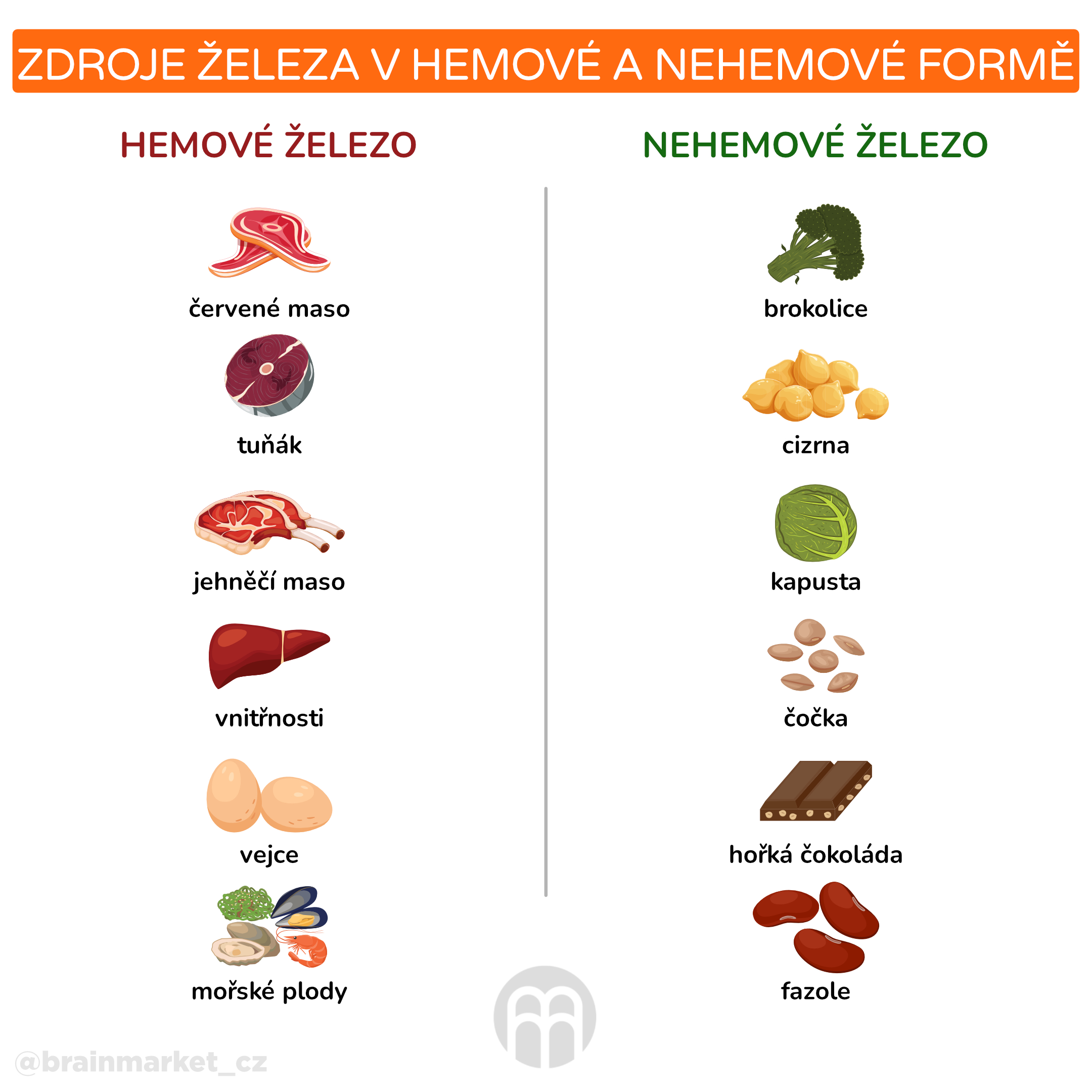 zdroje zeleza_infografika_cz